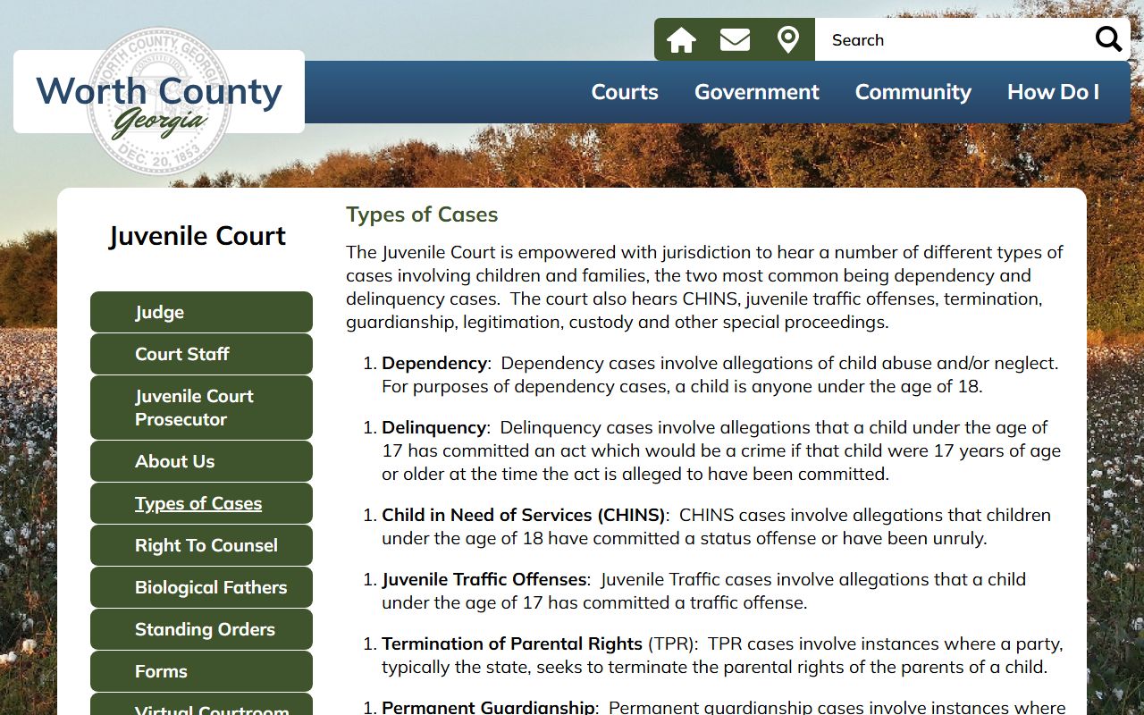 Worth County Superior Court juvenile case types