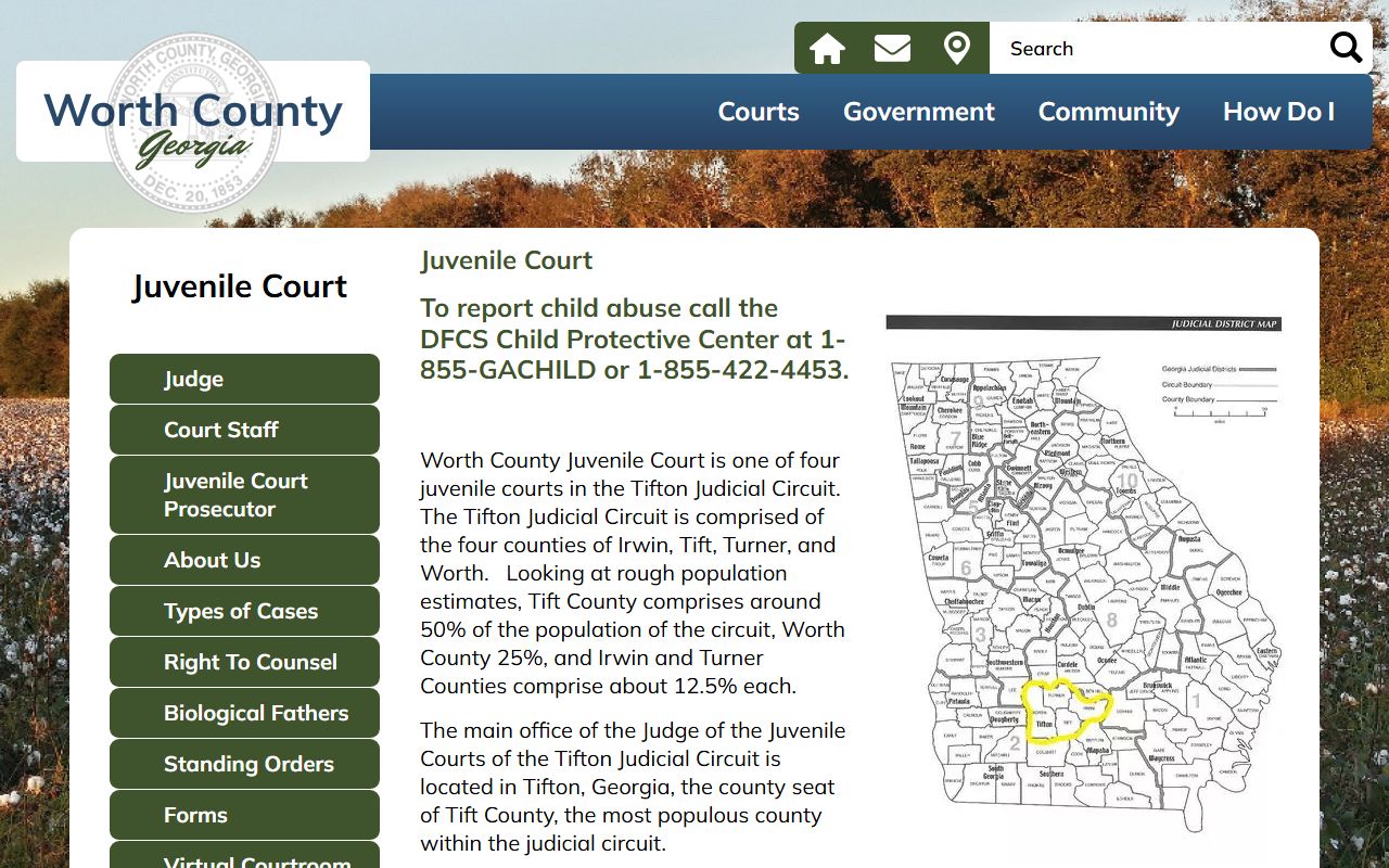 Worth County Superior Court juvenile court and Tifton Judicial Circuit context
