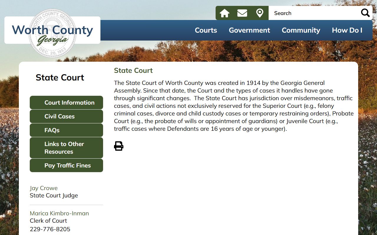 Worth County court records State Court page
