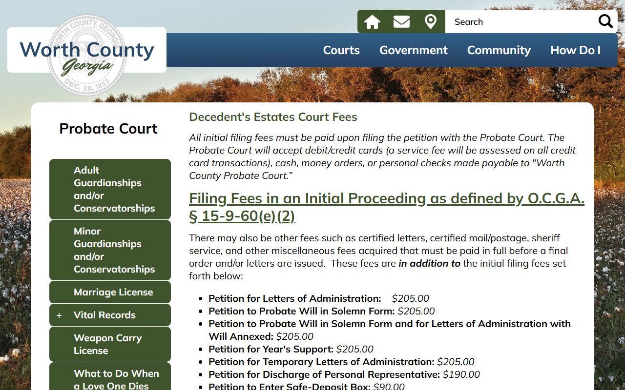 Worth County marriage and divorce records Probate Court fee schedule