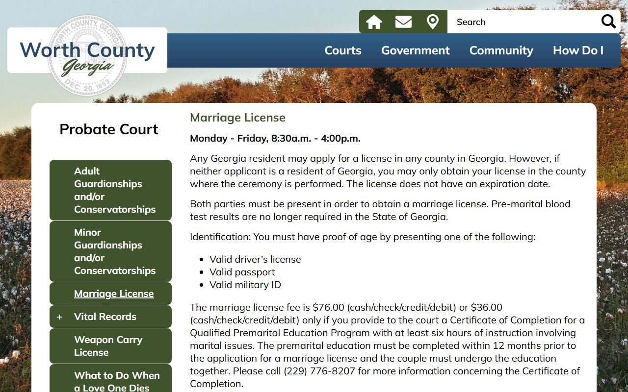 Worth County marriage records Probate Court license page
