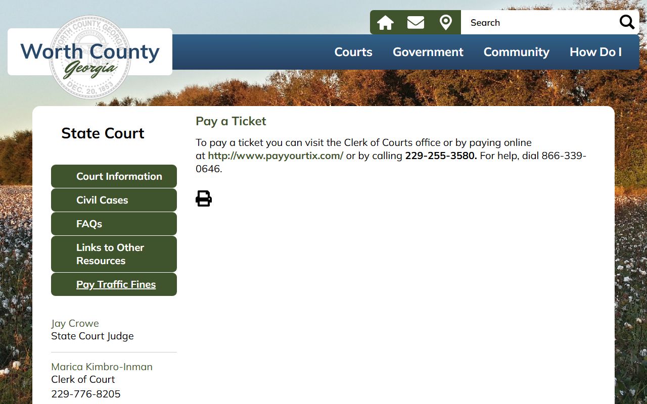 Worth County traffic court records pay ticket page